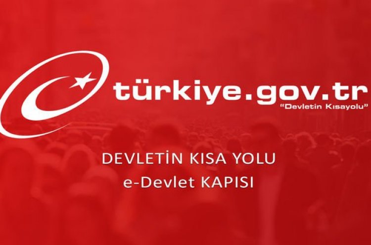 E-Devlet Sistemi