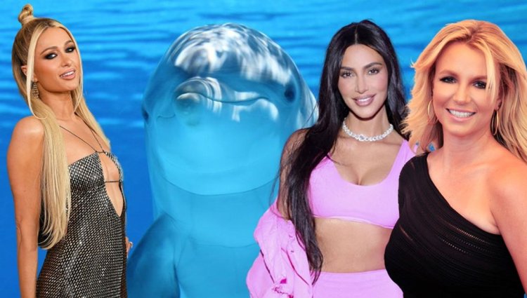 Yunusların Kim Kardashian, Paris Hilton ve Britney Spears ile ortak bir özelliği keşfedildi