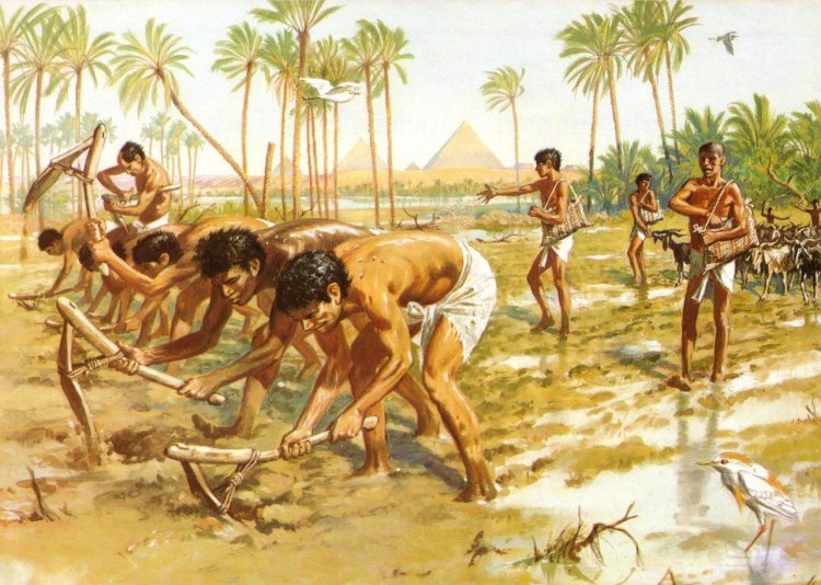 TARIM DEVRİMİNİN İNSANLARA OLUMLU VE OLUMSUZ ETKİLERİ EGE YAVUZ